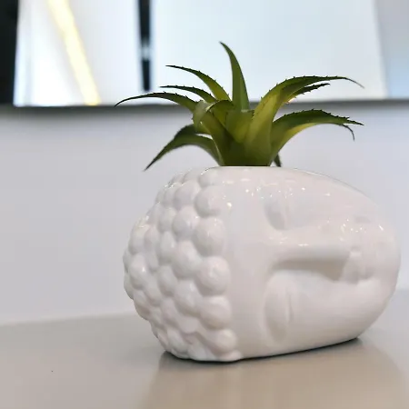 In Ziza, Rooftop Swimming Pool شقة أوباتيا