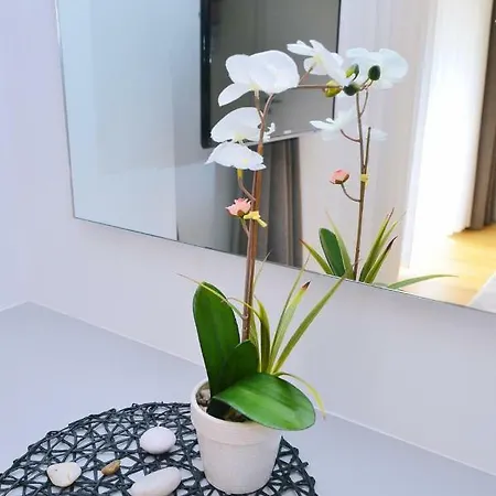 In Ziza, Rooftop Swimming Pool أوباتيا